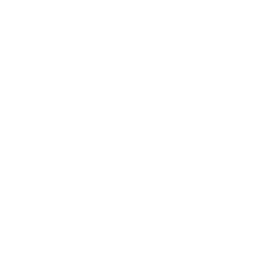 Smartiz